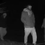 Kampiranje se je spremenilo v nočno moro