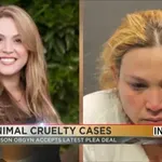 Zdravnica priznala krivdo: nezakonite operacije na psih