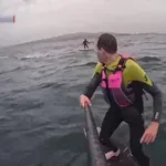 Morski pes jih lovi, a niso dovolj hitri