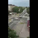 Žensko napade trop potepuških psov