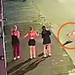 Na pločniku jih napade pitbull