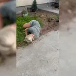 Se je vozila z otroškim skirojem, pa jo je takoj doletela kazen