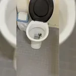 Splaknila je vodo in priplavala je žaba
