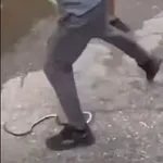 Paranoično beži pred kačo