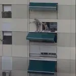 Namesto, da bi uživali v penziji, sta se lotili nevarnega početja