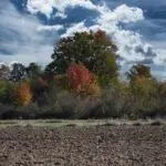 Štok na Koji se Zaborav Naslanja