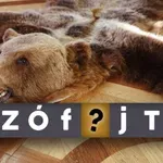 Szófejtő: Hol és kik ittak előre a medve bőrére? És nekünk miért nem érdemes?