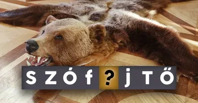 Szófejtő: Hol és kik ittak előre a medve bőrére? És nekünk miért nem érdemes?