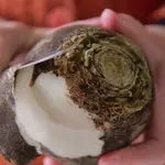 Crna rotkva: Recepti zbog kojih ćete ovo zaboravljeno povrće stalno kupovati