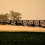 Herbicid glifosat: Pesticid koji se povezuje s rakom – koliko smo mu zapravo izloženi?