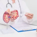 6 koraka koje trebate poduzeti nakon dijagnoze raka bubrega