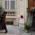 Ove godine birate prirodnu jelku? Evo kako da traje duže