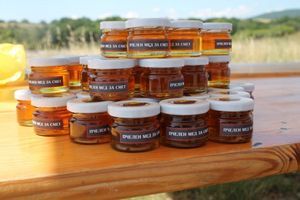 Ирина Флорин дава старт на „Пчелен мед за смет“