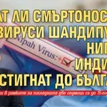 Могат ли смъртоносните вируси Шандипура и Нипа от Индия да стигнат до България
