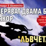 Заради леопарда в Шуменско: Проверяват двама братя с прякор "Лъвчетата"