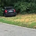 ХИТ: Черна пантера се крие в столичните храсталаци