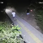 Майката на пиромана от В. Търново: Добро момче е, направил е беля!