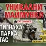 Уникални маймунки пристигнаха в зоопарка в Бургас (ХИТ ФОТО)