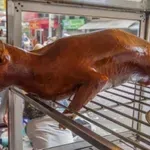 Джакарта забрани консумацията на кучешко и котешко месо