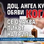 Доц. Ангел Кунчев обяви кога се очаква пикът на грипа