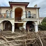 Цените на имотите в "Елените" се сринаха до тези на барака в гето