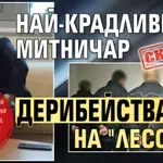 Скандал: Най-крадливият митничар дерибейства на "Лесово"