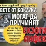 Проф. Тодор Кантарджиев пред Lupa.bg: Плъховете от боклука могат да причинят екзотични инфекции