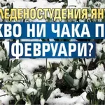След леденостудения януари – какво ни чака през февруари?