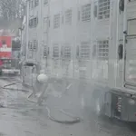 Камион със 178 прасета се запали на пътя Хасково – Димитровград