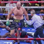 Шило в торба не стои: Фюри се връща на ринга