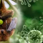 Проф. Аргирова успокоява: Знаем го вируса Нипа, не е нов