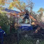 Огромен бор се стовари върху влак в Гърция