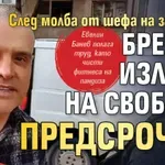След молба от шефа на затвора: Брендо излиза на свобода предсрочно