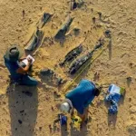 Откриха фосили на непознат динозавър в Сахара