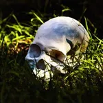 Откриха останките на жена край бившето поделение в Понор