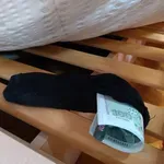 Левът се държи! 4 млрд. чакат своя час под дюшека