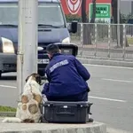ХИТ ФОТО: Куче помага на катаджия да си нагласи камерата