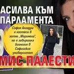 БСП засилва към парламента "Мис Палестина"
