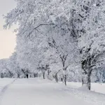 Метео Балканс: Идва сняг