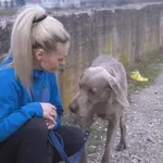 Жена скочи в 7-метров канал, за да спаси кучето си