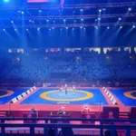 Нула - толкова са медалите на боркините ни на европейското в Сърбия