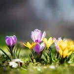 Очаква ни слънчево време