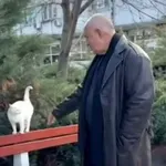 Бойко Борисов милва бял котак и слуша песен на Миленита (ВИДЕО)