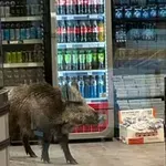 Глиган нахлу в германски мол