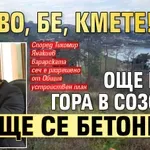 БРАВО, БЕ, КМЕТЕ! Още една гора в Созопол ще се бетонира