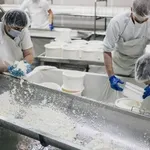 Млекопреработватели и синдикати също искат спешни мерки срещу поскъпването