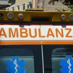 Голямо дърво падна и рани двама души в Рим