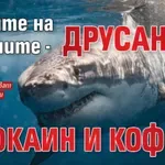 Акулите на Бахамите - друсани с кокаин и кофеин
