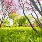 Най-накрая! Дъждът спира, слънцето изгрява утре