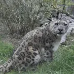 Зоопаркът в София преминава към лятно работно време